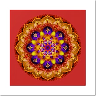 Mandala Magic - Daily Focus 11.15.2023 Posters and Art